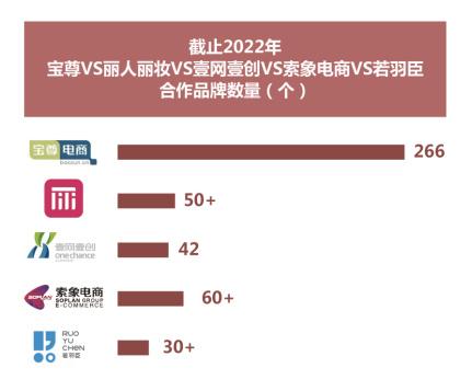 抖音电商运营公司_抖音电商运营公司提成_抖音电商运营公司可靠吗安全吗